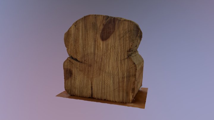 Old wooden beam section 3D Model