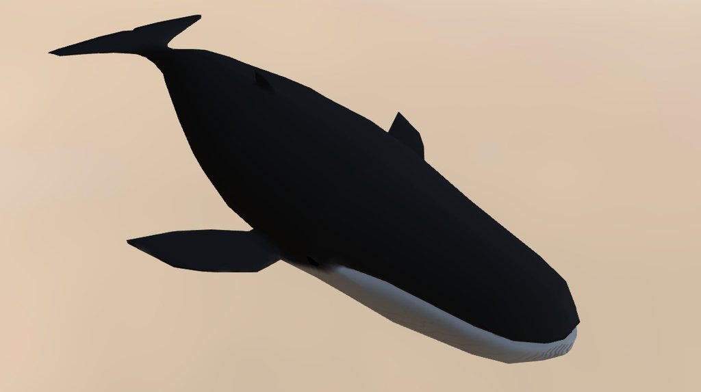 Ballena Gris