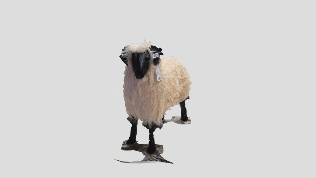 Lavender House Sheep