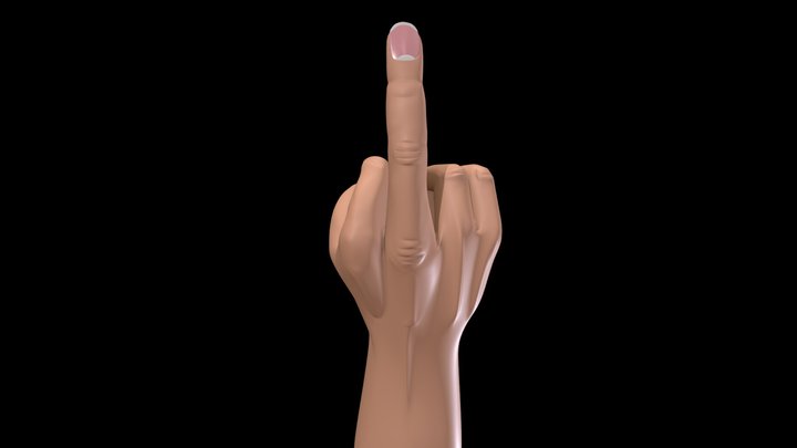 The Bird 3D Model
