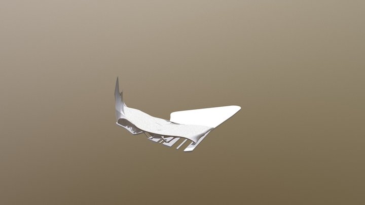 surface 3D Model