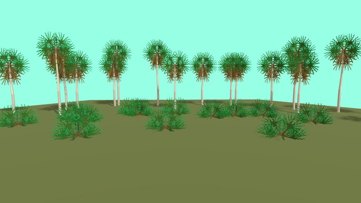 Palmar Chaqueño Test 3D Model