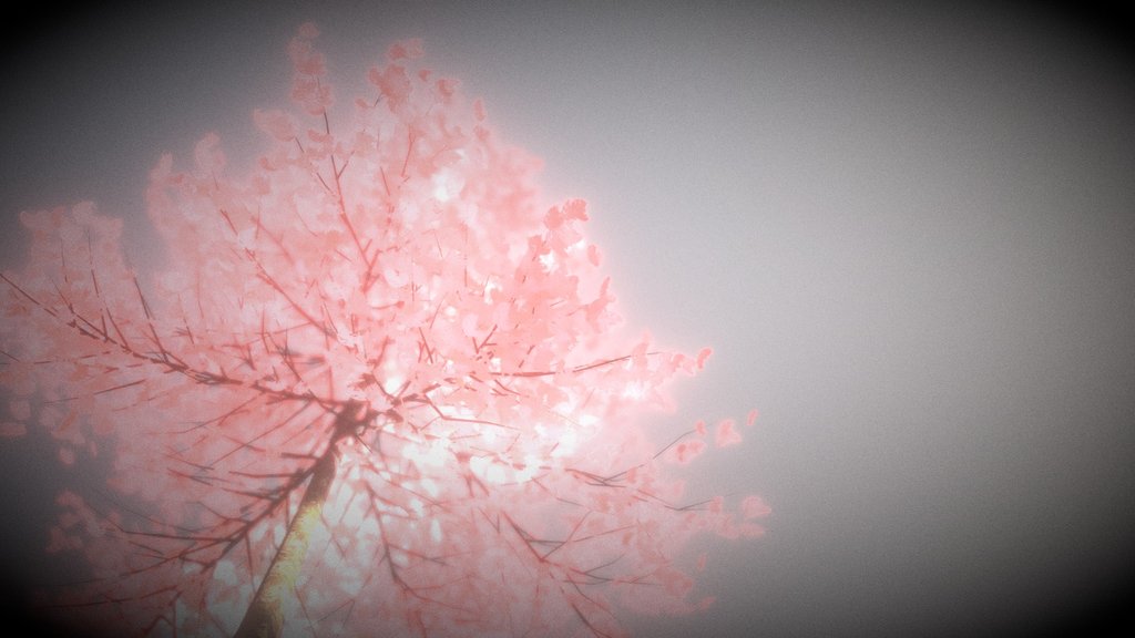 laying under a Tree with Pink Leaves and Wind