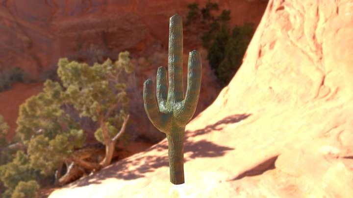 CACTUS1 /GART230 3D Model
