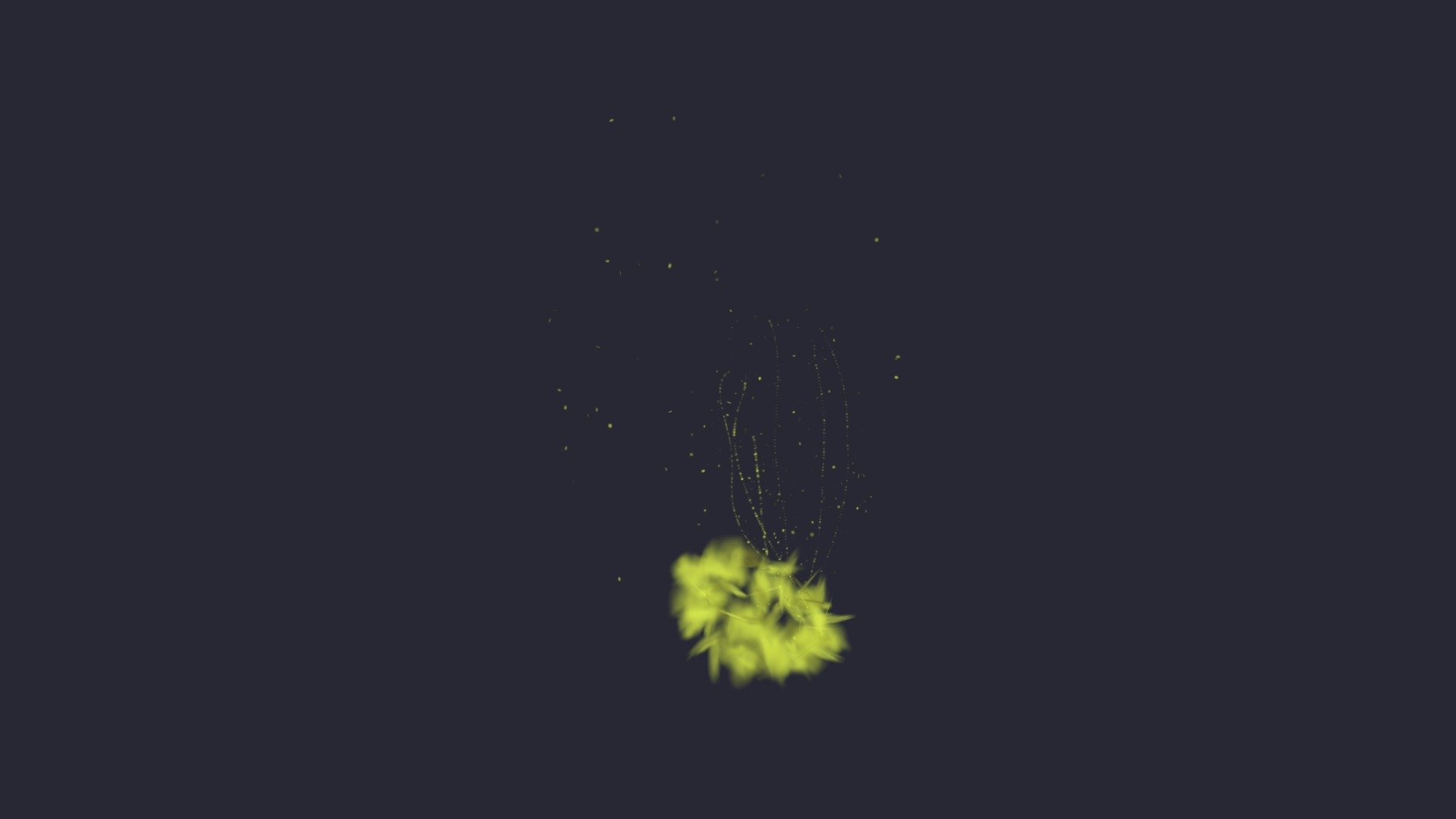 lichter_sterne