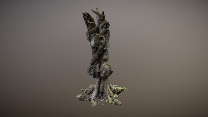 Dead tree trunk 3D Model