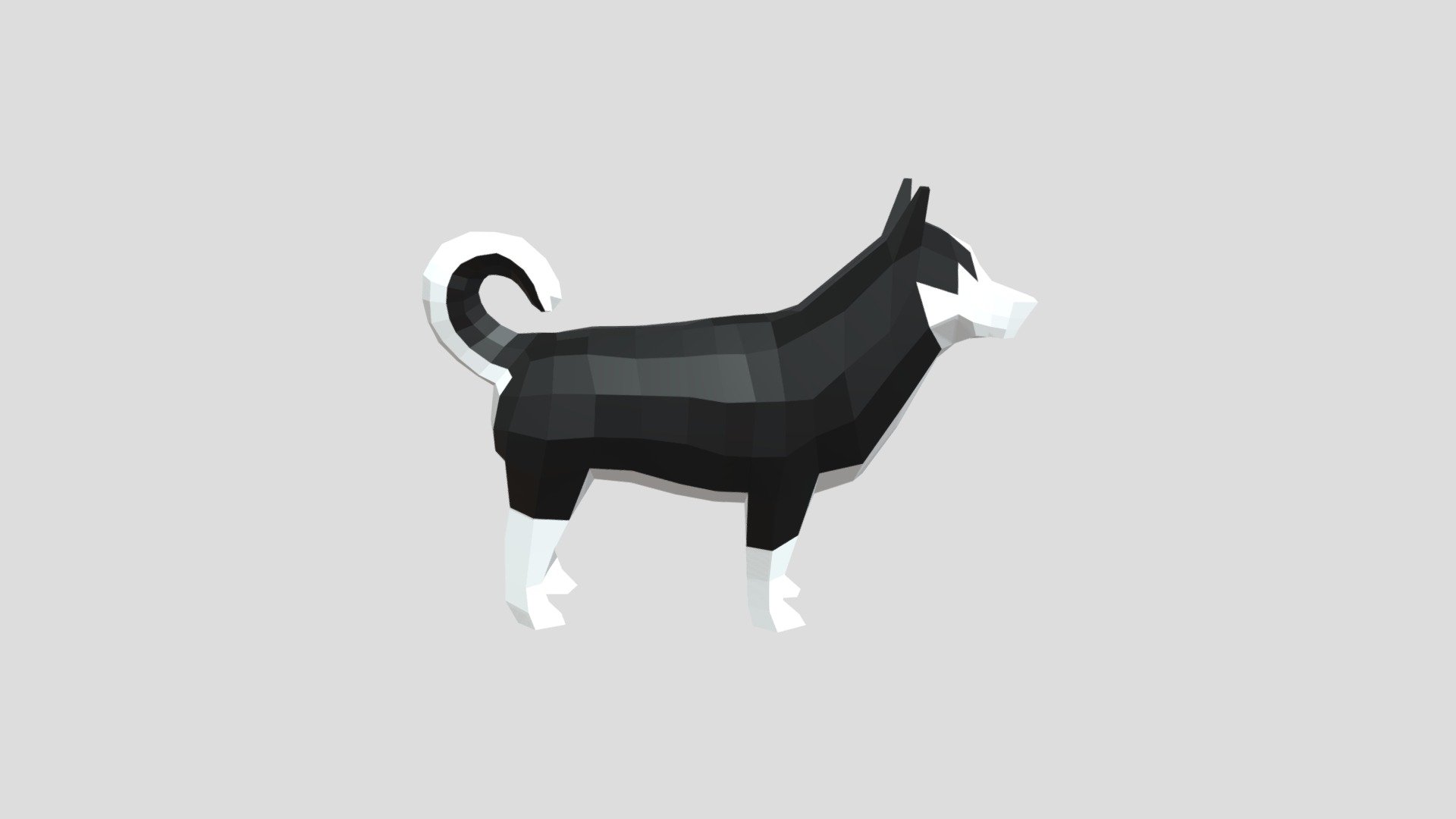 Colored Doggo2