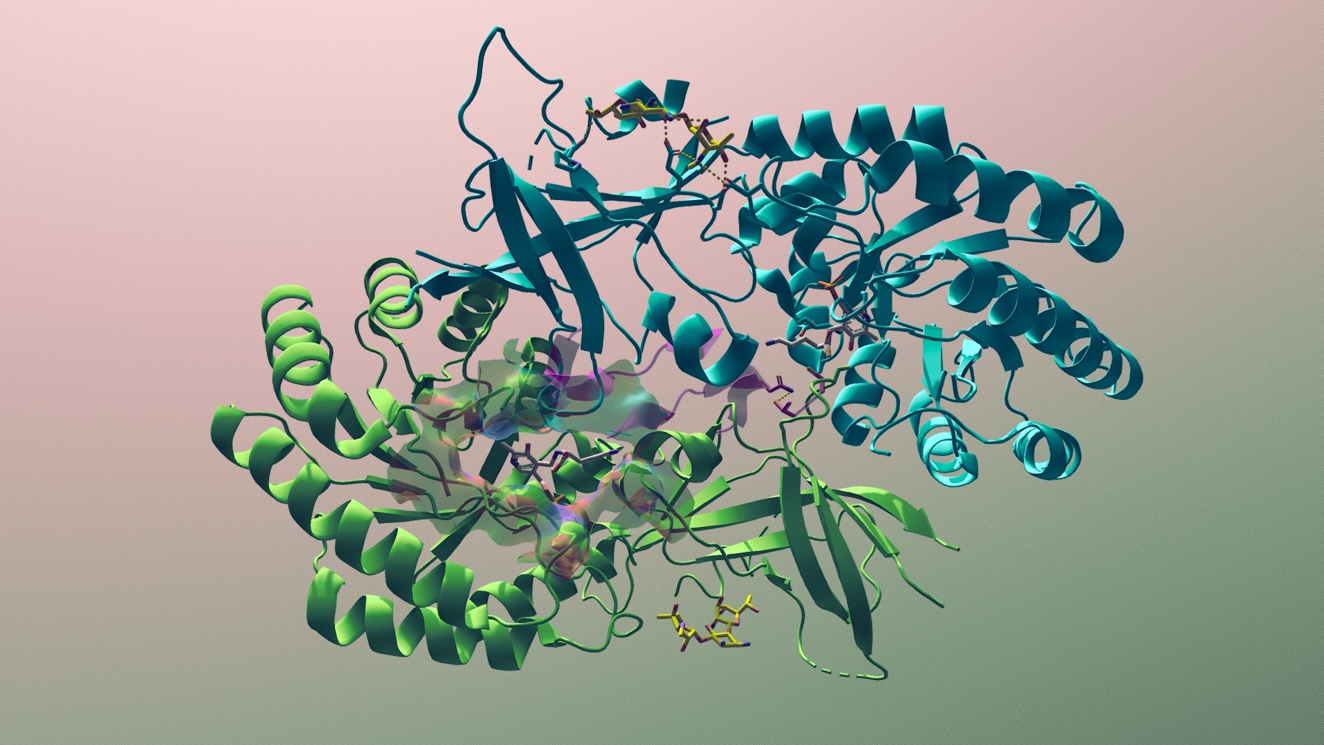 Ornithine decarboxylase inhibition by G418