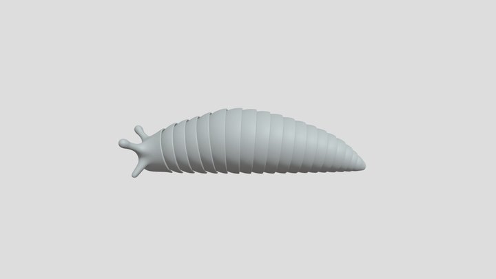 Magnetic-slug-v1 3D Model