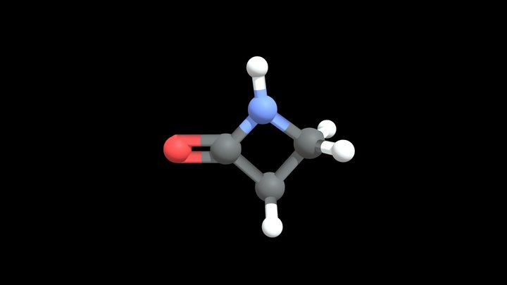 Lactam Group (beta-lactam)