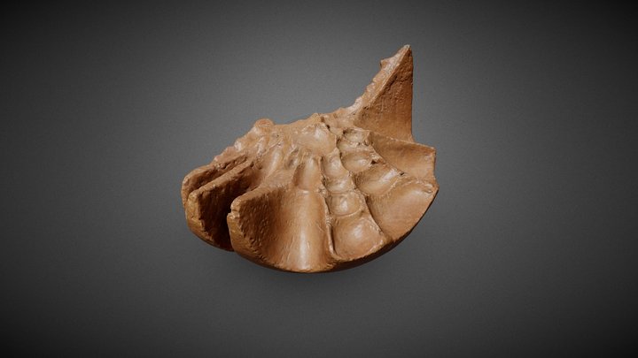 Metamorfosis / Humberto Soto 3D Model