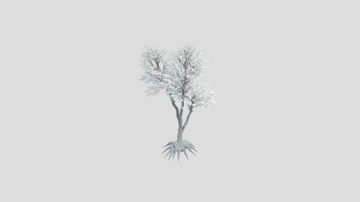 Tree 35