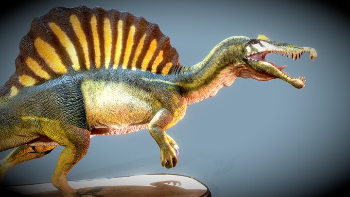 Spinosaurus (For print) 3D Model
