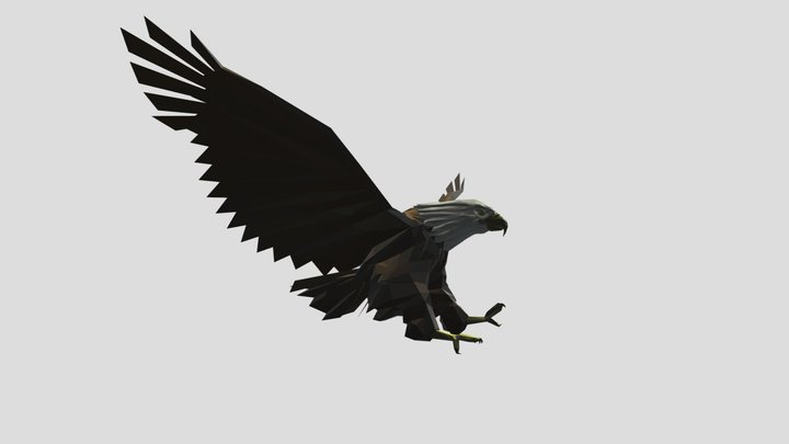 Life of Eagle 3D Model