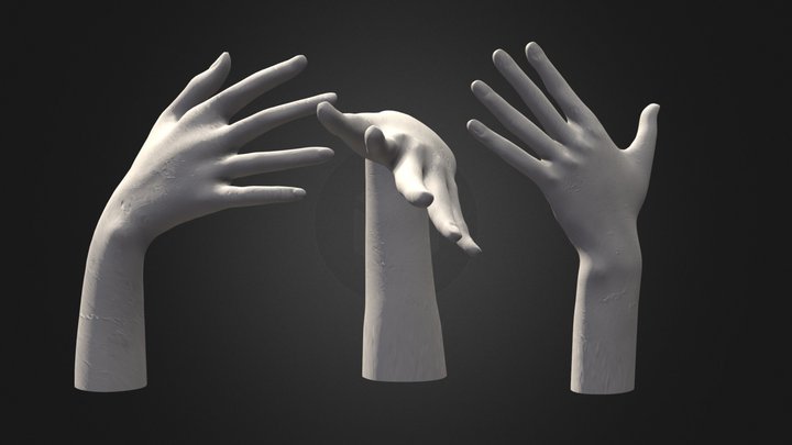 Hand display