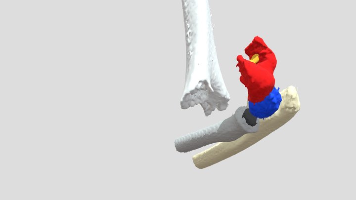REDUCCION CODO 3D Model