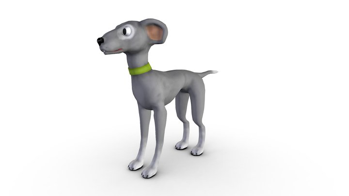 Italian greyhound 3D Model