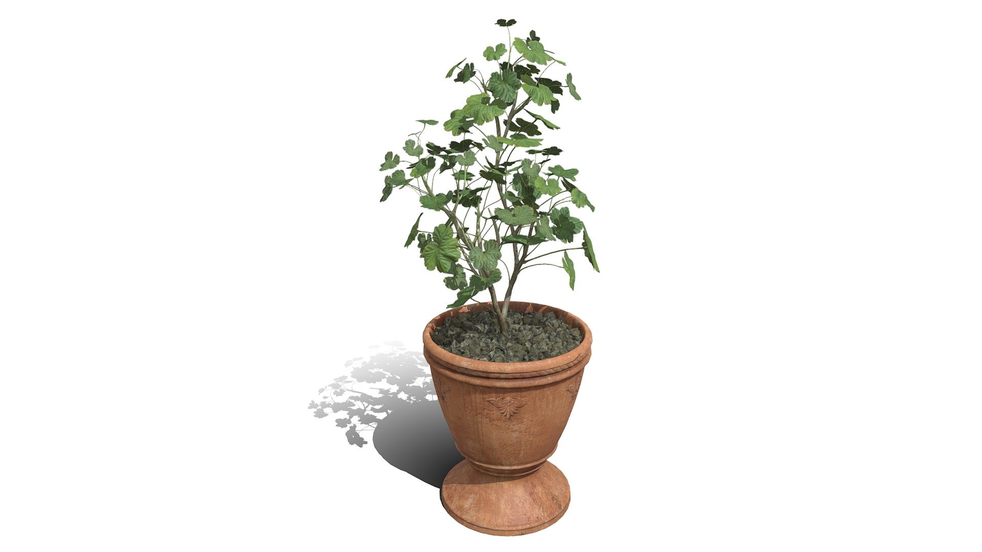 Potted Plant 01 4k