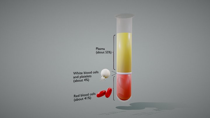 Composition of Whole Blood 3D Model