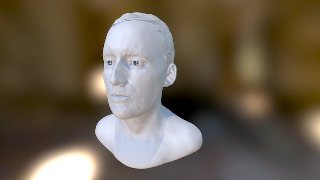 3D Self Portrait 3D Model