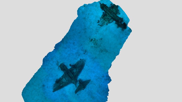 Planes lie in the sand - Saratoga Wreck 3D Model