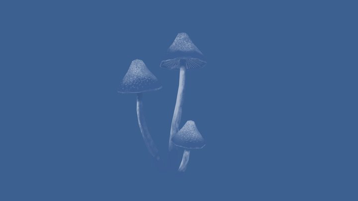 Werewere-kōkako mushrooms 3D Model