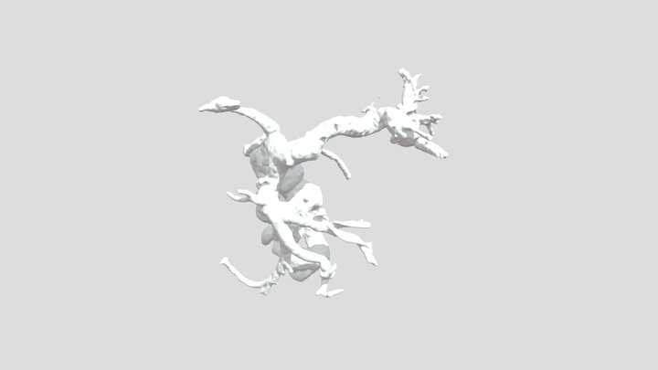FranciscoContreras_shuntPS_Measurement Tissue_(1 3D Model