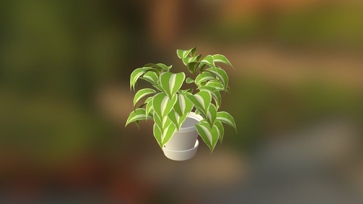 Indoor Plant 3D Model