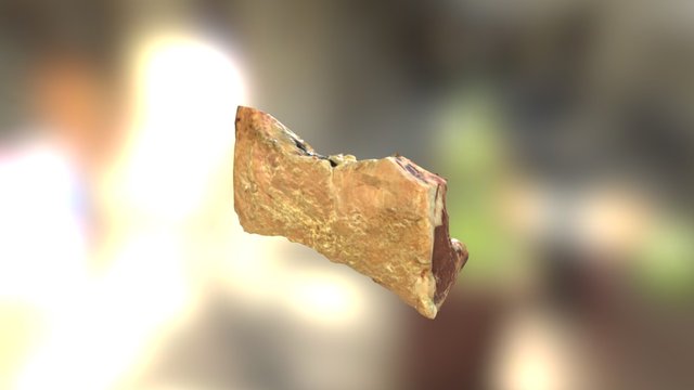 BeefAnatomicalObject 3D Model