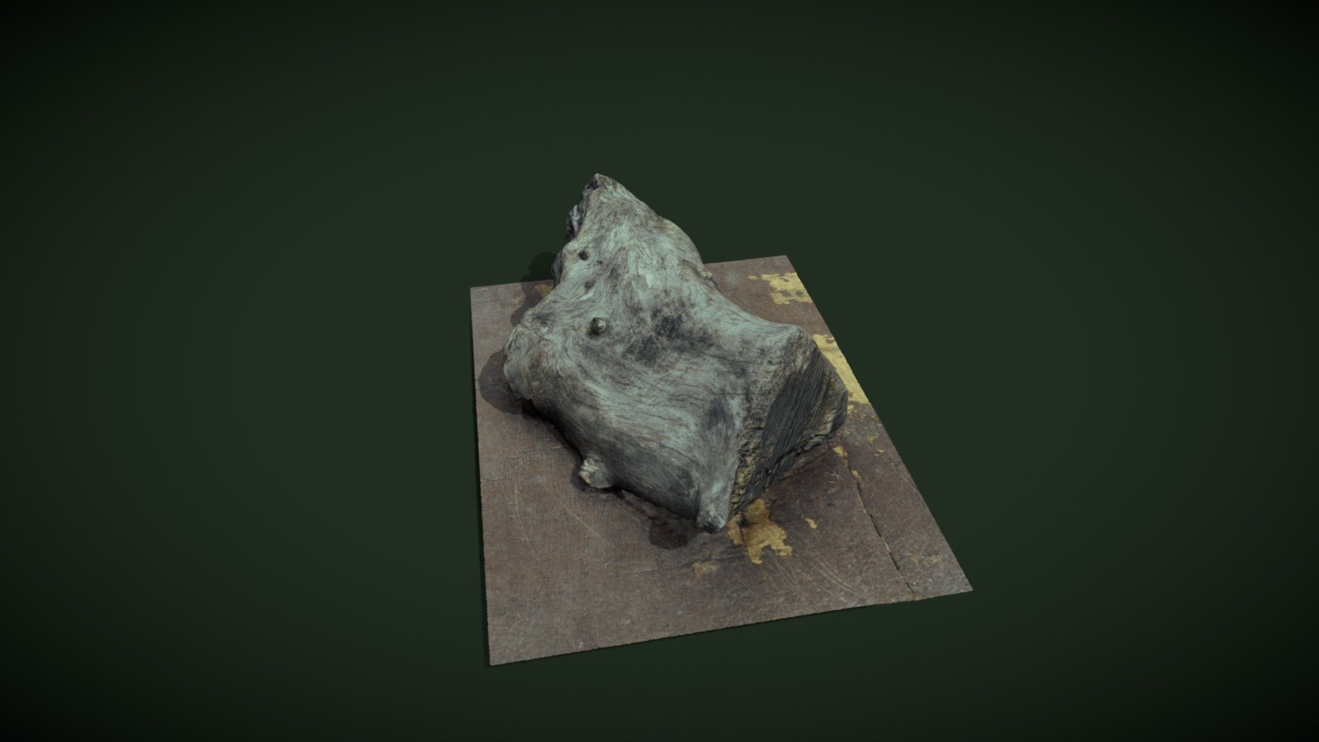 Wood Trunk