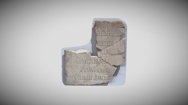 Inscription Latine 3D Model