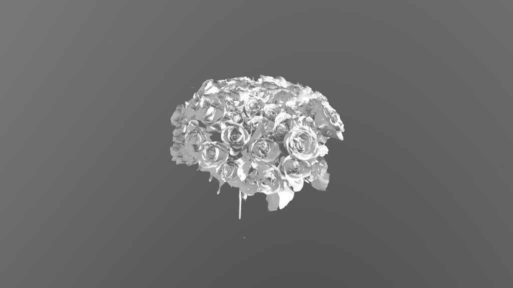 Rose Bouquet (only mesh) - Einscan Rigil