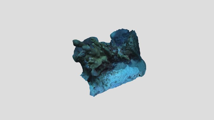 Joys Joy N 3D Model