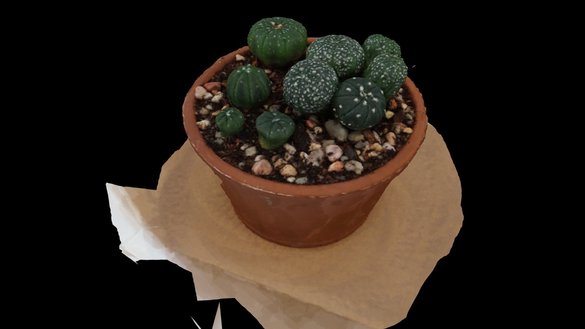 UNEDITED - Cactus (3DF Zephyr Edu)