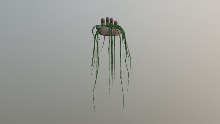 Hand and a Plant 3D Model