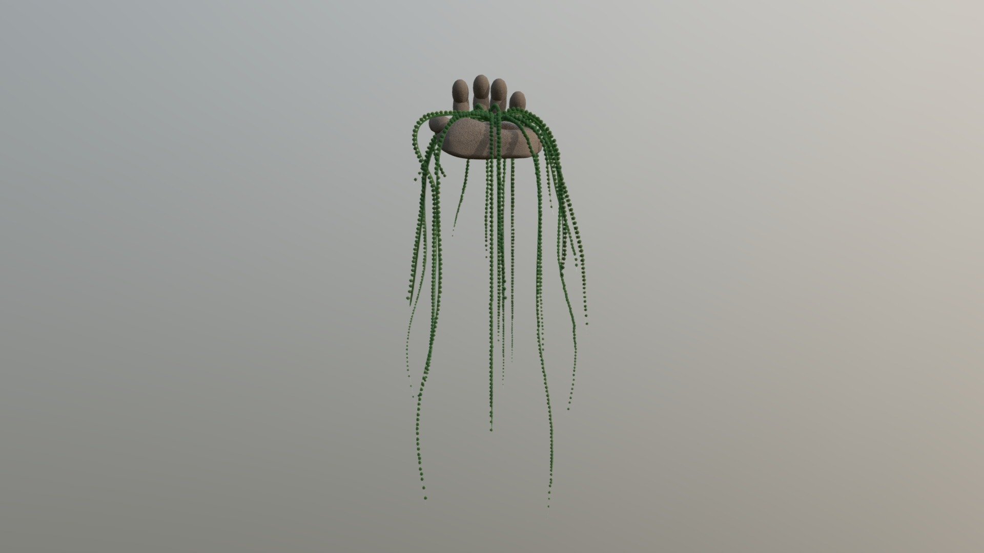 Hand and a Plant