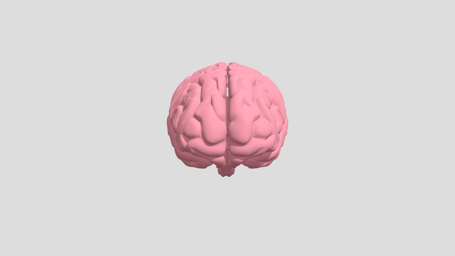 avt test brain