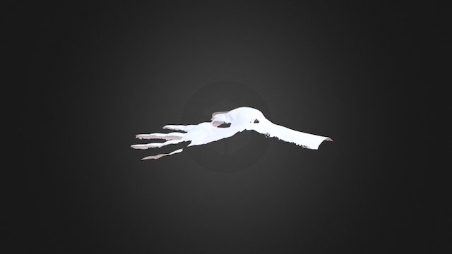 Kezszi 02 3D Model