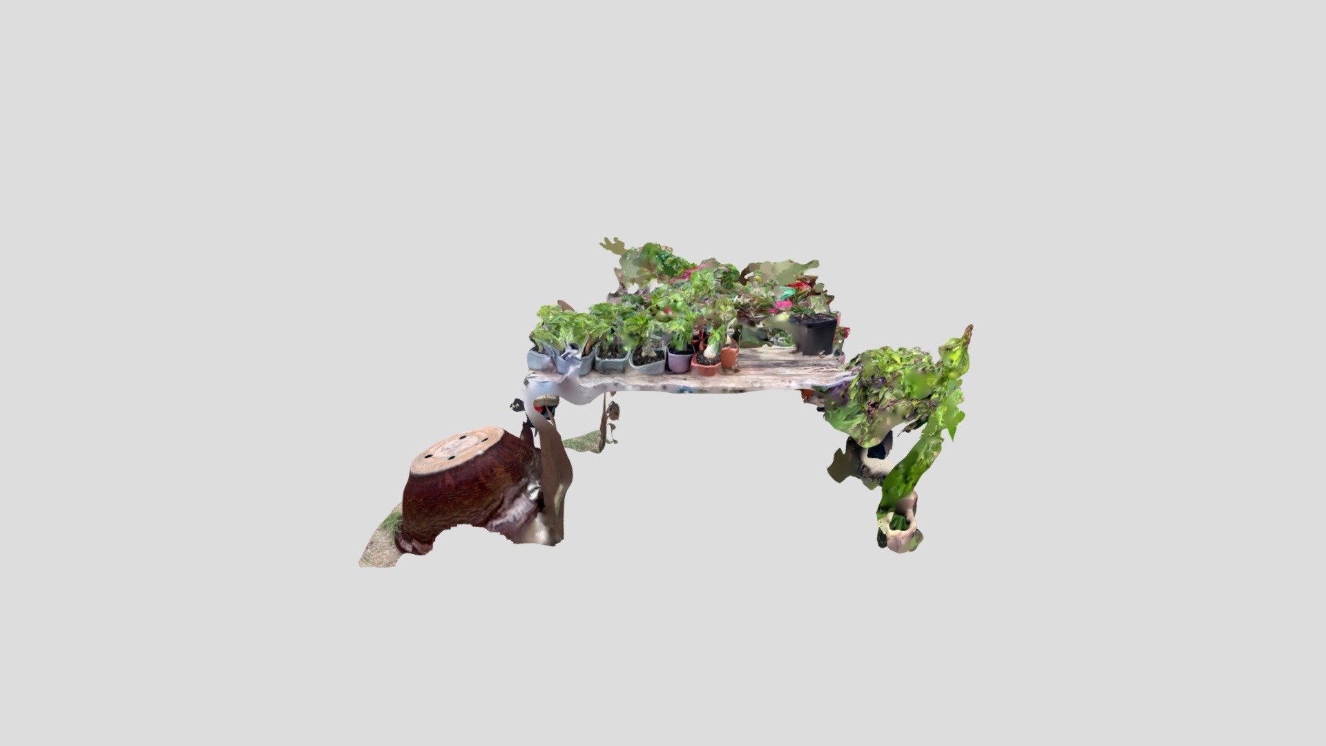 Plant — Sketchfab embed 3D viewer