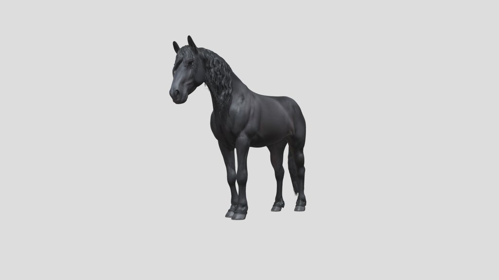 Midnight Stallion Horse