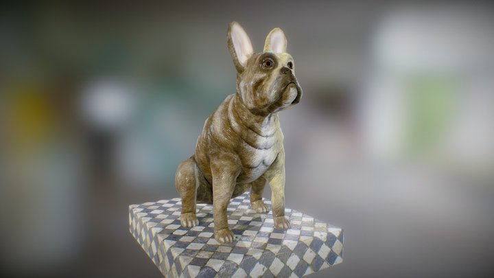 BullDog Sculpt 3D Model