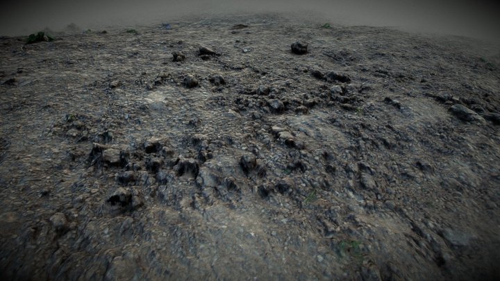 Rocks and dirt patch 200k 3D Model