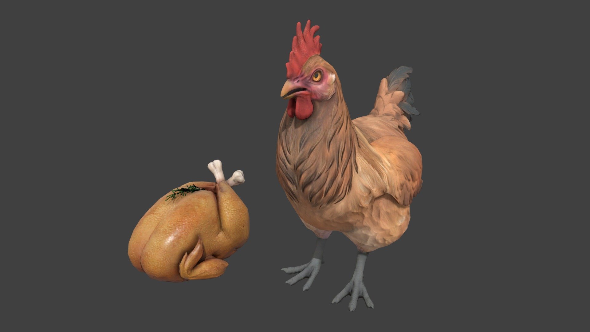 ANIMAL & FOOD | Chicken Model (CS2) - Download Free 3D model by gettan ...