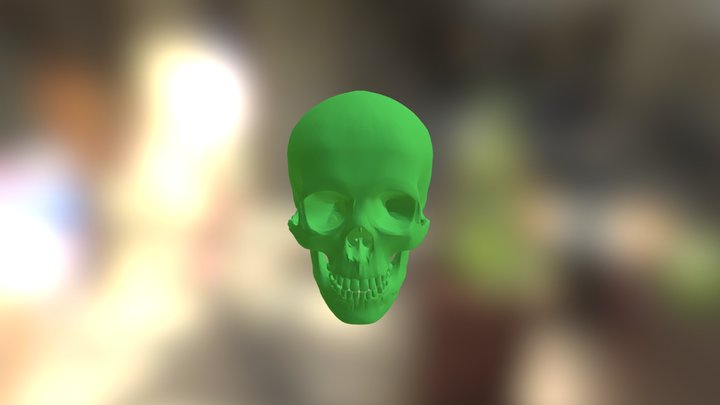 Skull Coat Rack 3D Model