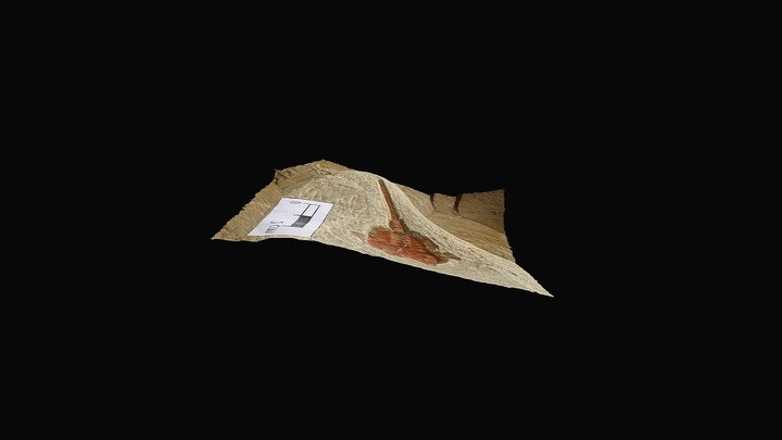 Xiphosurid 3D Model