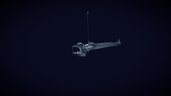 Viperfish2 3D Model