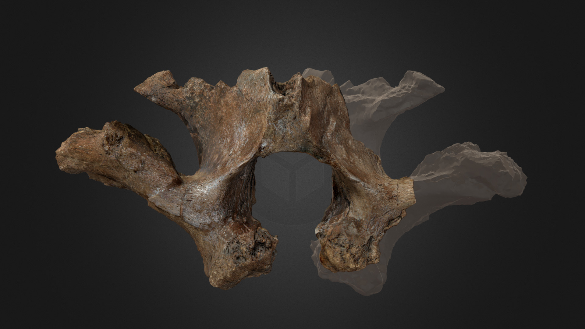 3D model Edmontosaurus Cervical Vertebra - This is a 3D model of the Edmontosaurus Cervical Vertebra. The 3D model is about a piece of wood with a carving.