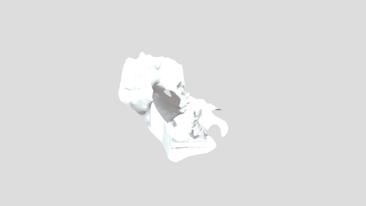 Projeto experimento final escama 3D Model