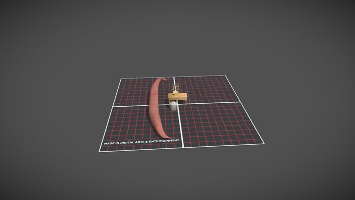 1GD16_Rakowiecki_Franciszek_5FinishedProps 3D Model