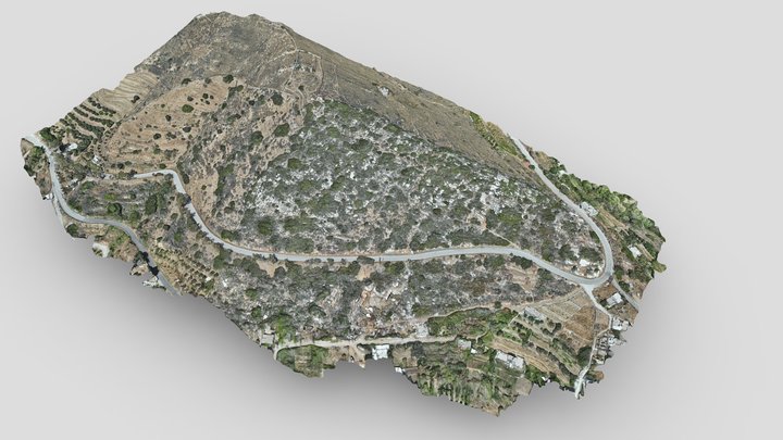 Hiwa_Apollonas_2024_simplified_3d_mesh 3D Model